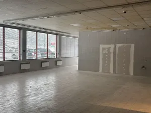 Pronájem obchodního prostoru, Velké Albrechtice, 180 m2