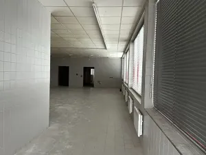 Pronájem obchodního prostoru, Velké Albrechtice, 180 m2