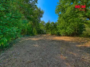 Prodej zahrady, Velký Bor - Slivonice, 2248 m2