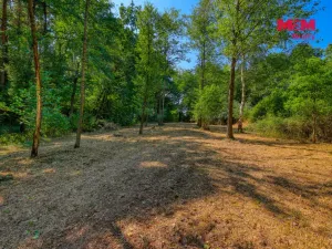 Prodej zahrady, Velký Bor - Slivonice, 2248 m2