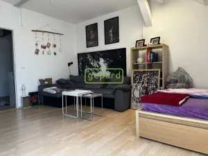 Pronájem bytu 1+1, Brno, Kopečná, 55 m2