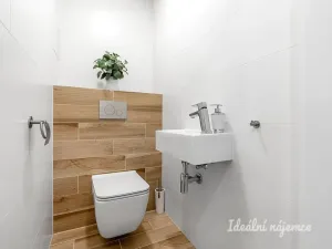 Pronájem bytu 1+kk, Praha - Podolí, Na dolinách, 39 m2