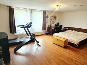 Prodej obchodního prostoru, Kralupy nad Vltavou - Mikovice, V Uličce, 235 m2
