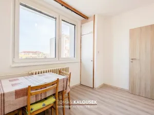 Pronájem bytu 1+1, Ivančice, Luční, 35 m2