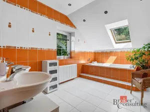 Prodej rodinného domu, Babice, Honzíkova, 389 m2
