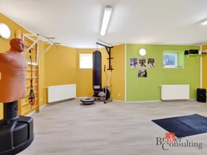 Prodej rodinného domu, Babice, Honzíkova, 389 m2