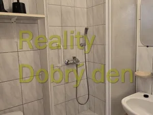 Prodej bytu 1+kk, Dolní Benešov, Osada míru, 21 m2