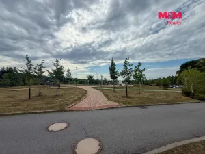 Pronájem bytu 1+kk, Polička - Horní Předměstí, B. Šmída, 31 m2
