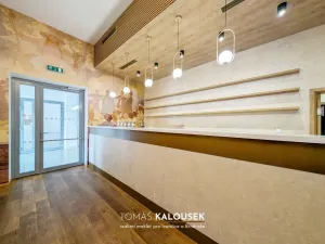 Pronájem restaurace, Ivančice, Tesařovo náměstí, 2319 m2