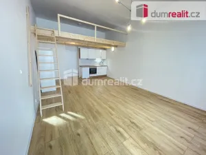 Pronájem bytu 1+kk, Praha - Smíchov, Na Valentince, 42 m2