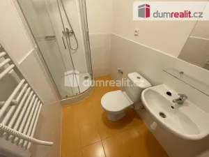 Pronájem bytu 1+kk, Praha - Smíchov, Na Valentince, 42 m2