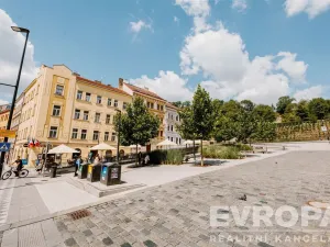 Pronájem obchodního prostoru, Praha - Žižkov, Husitská, 49 m2
