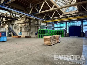 Pronájem výrobních prostor, Plzeň - Skvrňany, Domažlická, 2000 m2