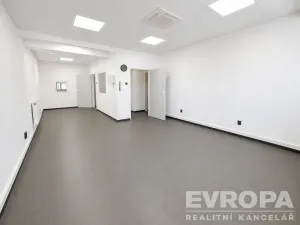Pronájem výrobních prostor, Plzeň - Skvrňany, Domažlická, 2000 m2