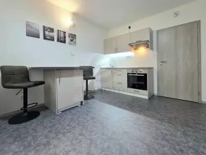 Pronájem bytu 1+kk, Ostrov - Horní Žďár, 29 m2