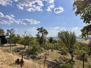 Prodej zahrady, Samotišky, 639 m2