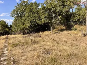 Prodej zahrady, Samotišky, 639 m2