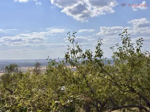 Prodej zahrady, Samotišky, 639 m2