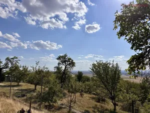 Prodej zahrady, Samotišky, 639 m2