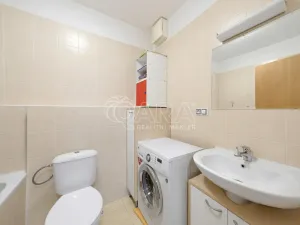 Prodej bytu 1+kk, Beroun - Beroun-Město, U Židovského hřbitova, 39 m2
