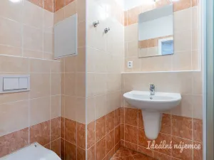 Pronájem bytu 1+kk, Praha - Kyje, Farkašova, 32 m2