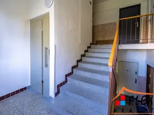 Pronájem bytu 2+1, Karviná, Borovského, 50 m2