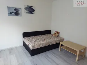 Pronájem bytu 1+1, Ústí nad Labem, 36 m2