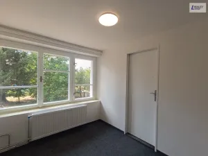Pronájem bytu 2+kk, Nečín, 49 m2