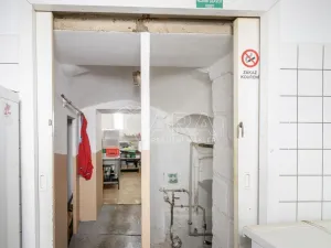 Pronájem restaurace, Doksy, Komenského, 261 m2