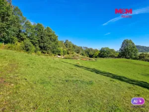 Prodej louky, Starý Šachov, 89774 m2
