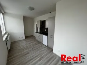 Pronájem bytu 1+kk, Brno - Veveří, Kounicova, 24 m2