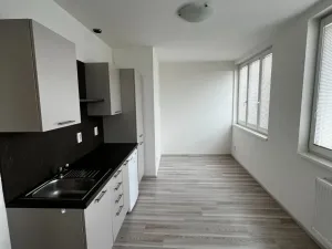 Pronájem bytu 1+kk, Brno - Veveří, Kounicova, 24 m2