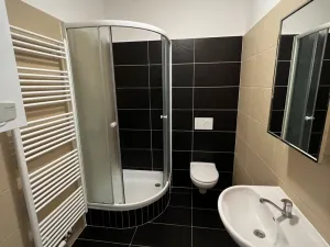 Pronájem bytu 1+kk, Brno - Veveří, Kounicova, 24 m2
