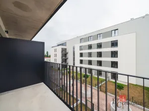 Pronájem bytu 1+kk, Plzeň - Jižní Předměstí, Železná, 37 m2