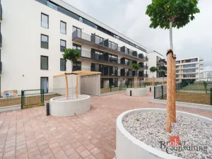 Pronájem bytu 1+kk, Plzeň - Jižní Předměstí, Železná, 37 m2