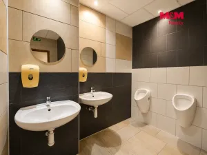 Prodej rodinného domu, Ivančice, 420 m2