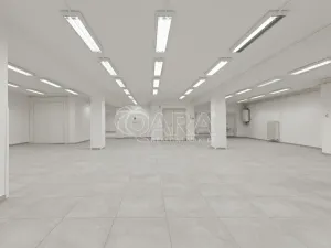 Pronájem obchodního prostoru, Nový Jičín, Masarykovo nám., 470 m2