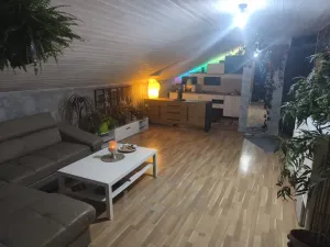 Prodej rodinného domu, Dolany nad Vltavou, Kout, 169 m2