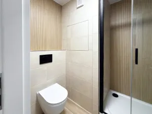 Pronájem bytu 2+kk, České Budějovice - České Budějovice 2, K. Chocholy, 42 m2