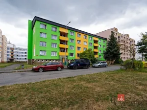 Pronájem bytu 1+1, Stříbro, Mírová, 50 m2