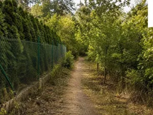 Prodej pozemku pro bydlení, Plzeň - Litice, Výsluní, 1165 m2