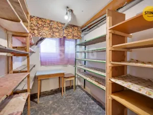 Prodej rodinného domu, Nové Syrovice, 200 m2