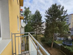 Pronájem bytu 1+1, Plzeň, Lazaretní, 45 m2