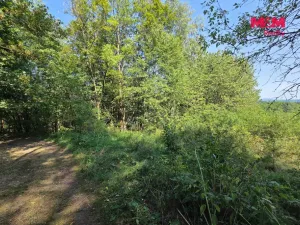 Prodej pozemku, Šemnice, 20949 m2