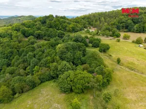 Prodej louky, Nosálov - Libovice, 13358 m2