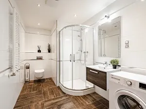 Pronájem bytu 1+kk, Praha - Žižkov, Olšanská, 36 m2