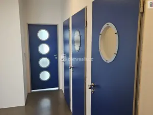 Pronájem bytu 2+kk, Praha - Strašnice, Nedvězská, 57 m2