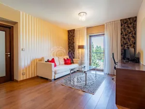 Prodej bytu 2+kk, Plzeň - Jižní Předměstí, U Borského parku, 52 m2