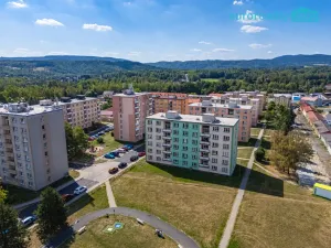 Prodej bytu 1+kk, Nové Sedlo, Sadová, 20 m2