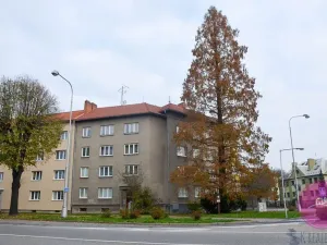 Pronájem bytu 1+1, Olomouc, Na střelnici, 57 m2